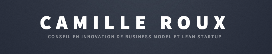 Camille Roux - conseil en business model